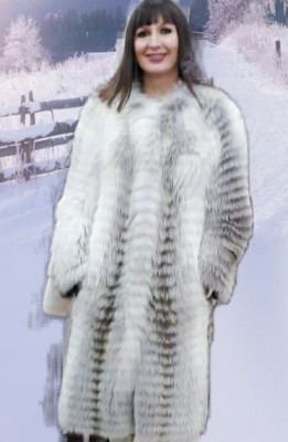 Fabio Gavazzi  Италия